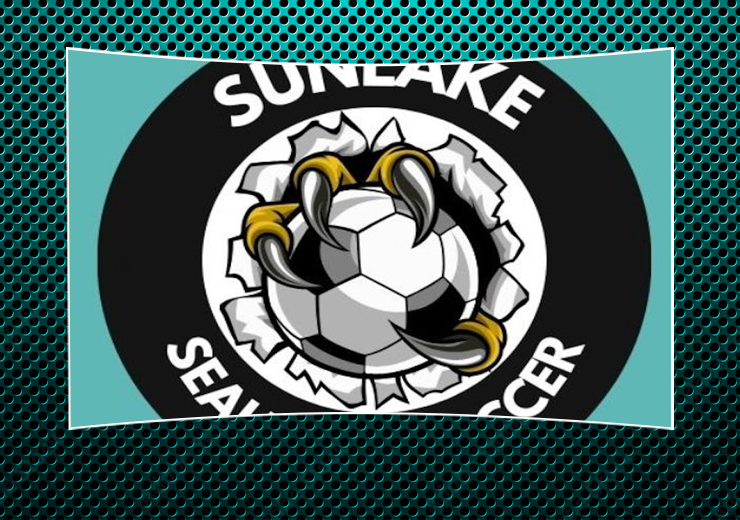 Sunlake Summer Girls Soccer Camp